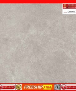 Gạch 60x60 Prime G6600M Granite mờ mịn xám