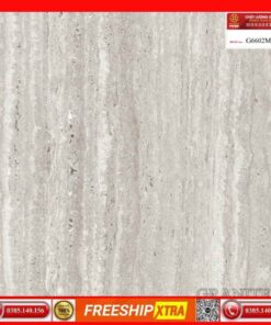 Gạch 60x60 Prime G6602M Granite mờ mịn xám