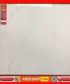 Gạch 60x60 Prime P6620B Granite màu trắng vân xám khói