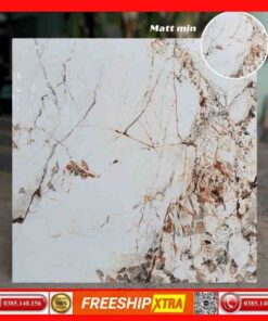 Gạch 80x80 Apodio 71029 mờ mịn dày 10mm