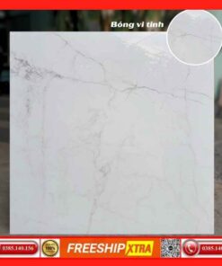Gạch 80x80 Apodio 8020 fullbody dày 10mm