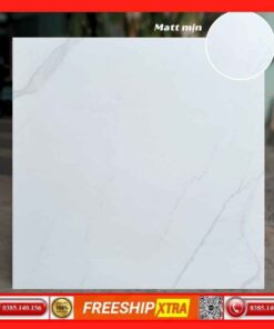 Gạch 80x80 Apodio 71090 fullbody mờ mịn