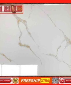 Gạch 60x60 Prime 29600