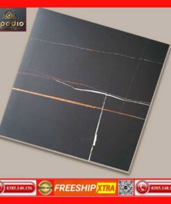 Gạch 60x60 Apodio 66169901 đen mờ-matt tia sét xám vàng