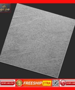 Gạch 60x60 Apodio 66264001 đá mờ-matt màu xám