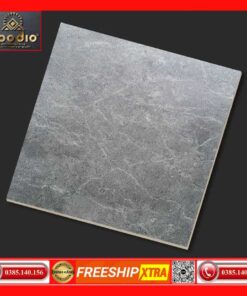 Gạch 60x60 Apodio A66SA601 đá mờ-matt tinh thể
