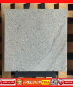 Gạch 60x60 India Duna Gris Terrazzo xám mờ mịn