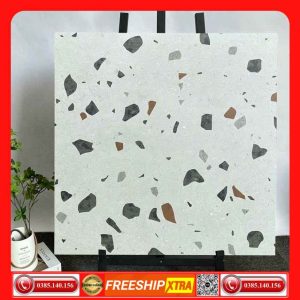 Gach-60x60 Terrazzo Dove