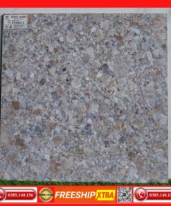 Gạch 60x60 Ý-mỹ EF69013 Granite Terrazzo