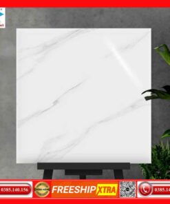 Gạch 60x60 Ý Mỹ EF69002 đá bóng kính trắng xám