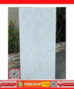 Gạch 80x160 India-80x160-8107