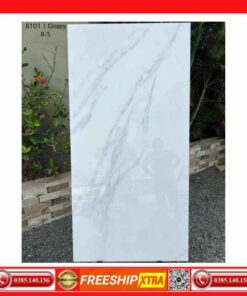Gạch 80x160 India-80x160-8101