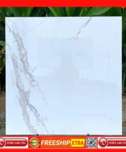 Gạch 80x80 INDIA-Statuario-Spider bóng kính trắng xám