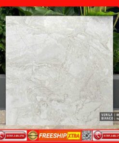 Gạch 80x80 INDIA-Venila-Bianco