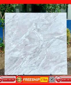 Gạch 60x60 Takao 26103 màu xám