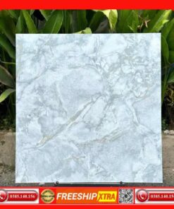 Gạch 80x80 Takao TK58902 vân đá xám
