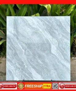 Gạch 80x80 Takao TK58905 màu xám