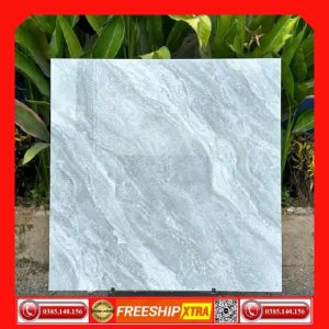 Gạch 80x80 Takao TK58905 màu xám