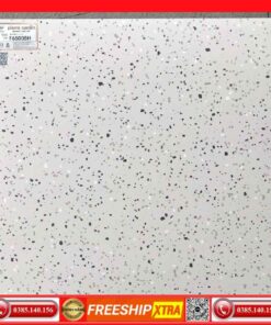Gạch 60x60 Ý-mỹ Columbuscera-F65005H vân Terrazzo