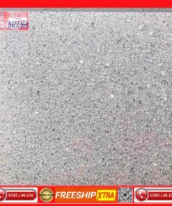 Gach-60x60 Y-My-N65016H Terrazzo
