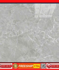 Gạch 100x100 Amado 10009 xám bóng kính
