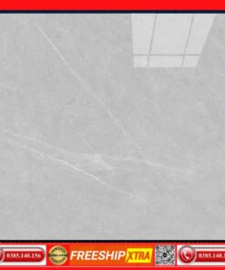 Gạch 100x100 Amado 10501 màu xám