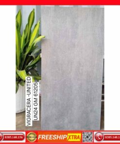 gach-60x120-Viglacera-United-UN24-GM61205