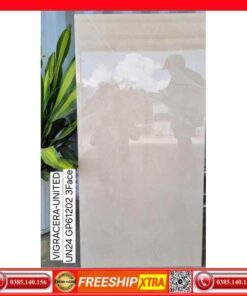 gach-60x120-Viglacera-United-UN24-GP61202