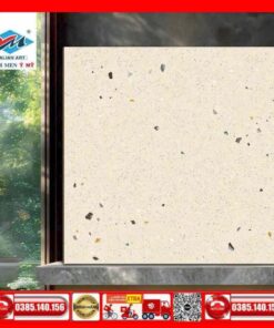 Gạch 60x60 Ý Mỹ F65022RH-Granite Terrazzo