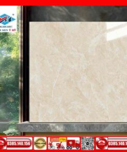 Gạch 60x60 Ý Mỹ N68069R-Granite vân mây vàng