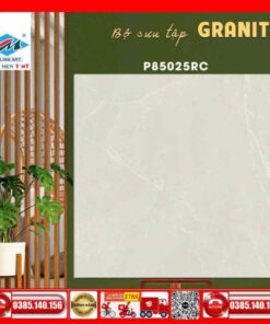 Gạch 80x80 Ý Mỹ Pierre-Cardin-P85025RC Granite
