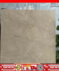 Gach 120x120 India-5302