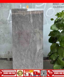 Gạch 60x120 India 3022 MTH vân đá xám