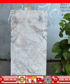 Gạch 60x120 India 3042 MTH đá Marbal