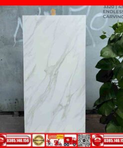 Gạch 60x120 India 3320-Carving MTH trắng xám