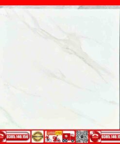 Gạch 80x80 INDIA 2012 trắng vân xám Calacatta