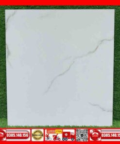 Gạch 80x80 INDIA 2016 MTH trắng vân xám khói