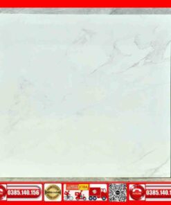 Gạch 80x80 INDIA 2017 trắng vân xám nhạt
