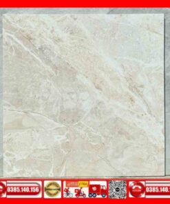 Gạch 80x80 INDIA 2023 vân đá