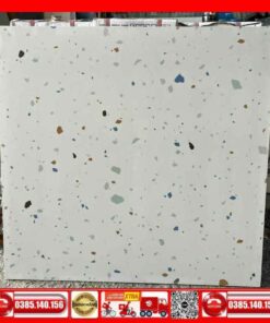 Gạch 60x60 lát nền Terrazzo 66090 nhám