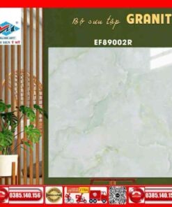 Gạch 80×80 Ý Mỹ EF89002R Granite