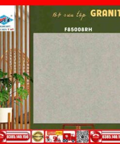 Gạch 80×80 Ý Mỹ F85008RH Granite