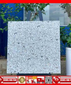 Gạch 60x60 lát nền Terrazzo CX6811