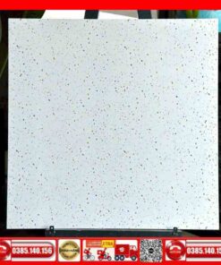 Gạch 60x60 lát nền Terrazzo TK56304