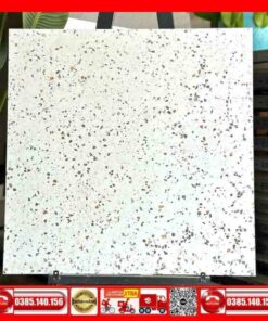 Gạch 60x60 lát nền Terrazzo TK56305