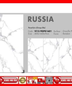 Gạch 80x160 Viglacera-VI15-9GP81601