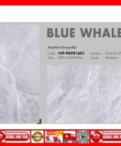 Gạch 80x160 Viglacera-VI9-9GP81601