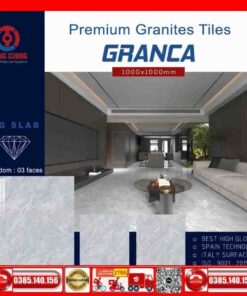 Gạch 100x100 Thắng Cường-GRANCA-GA1004