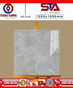 Gạch 100x100 FIZINI-STA101115
