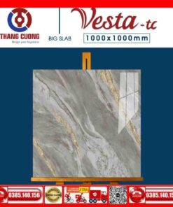 Gạch 100x100 Thắng Cường Vesta-11001